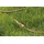Comfort HighFLEX Gartenschlauch 25 m orange