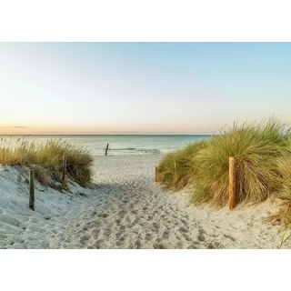 Rasch Tapete 363296 - Fototapete auf Vlies - Meer Strand Dünen Landschaft Natur 3D - 2,65m x 3,71m (LxB)