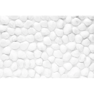 Magnetmatte für Heizkörperverkleidung, weiße Muscheln, 60x100cm