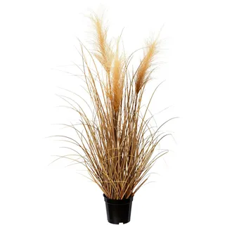 Creativ green Kunstgras "Pampasgras", creme