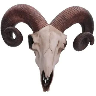 Nemesis Now Widder-Totenkopf-Wandschild, mittelgroß, 32,5 cm, Elfenbeinfarben, Kunstharz, Einheitsgröße