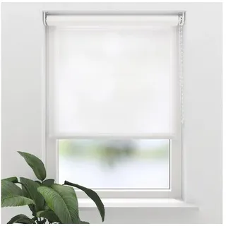 SOLUNA Tageslichtrollo T19 transparent weiß 150x190 cm