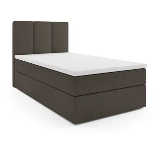 Boxspringbett, Jugendbett RYGA MINI, Topper Federkern (90x200 cm, BRAUN - SWING 5, Öffnungsseite LINKS) - Braun