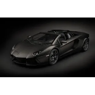 Pocher Lamborghini Aventador LP700-4 Roadster Nero Nemesis 1:8 Modellauto