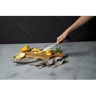 ZWILLING Vier Sterne Fleischmesser 20 cm, Rostfreier Spezialstahl, Ergonomischer Kunststoff-Griff, Schwarz [ Germany], Stahl
