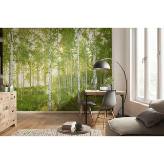 Fototapete KOMAR "Vlies Fototapete - Sunday - Größe 350 x 250 cm", grün, B:350m H:250m, Vlies, Tapeten, Fototapete