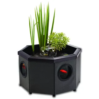 Aqua Garden Affinity Kompletter Hochteichbausatz mit Fenstern - Achteckig, Pool mit Wasserspiel, einschließlich Inpond 5 in 1 2000 Teich- und Wasserpumpe mit UV-Klärer, DREI Fenster