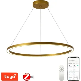 Immax NEO FINO Smart Pendelleuchte 1 Kreis, 80cm, 60W, gold, Zigbee 3.0 - Gold