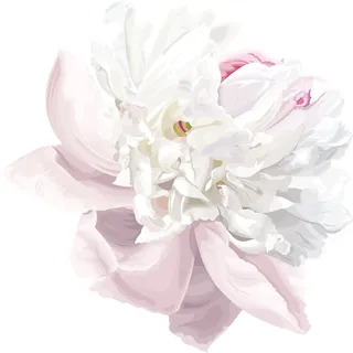 Wandtattoo QUEENCE "Matilda", rosa, B:70cm H:70cm, Folie, Wandtattoos, Wandtattoo, Wandbild, Sticker, Blume, Blüte, selbstklebend