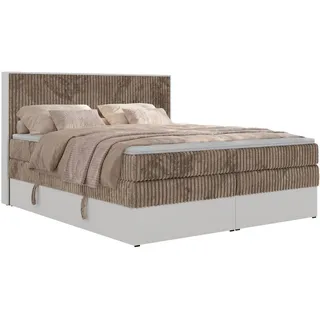 MKS Boxspringbett Travit King 140/200 - Braun Cord - Topper Visco - H3 , Kunststoff , H3 , 7-Zonen , Rechteckig , 140x200 cm , Oeko-Tex® , Schlafzimmer, Betten, Boxspringbetten