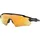 Radar EV Path 9208C9 Polished Black/Prizm 24K