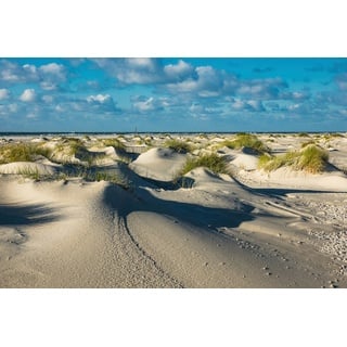 Papermoon Fototapete »DÜNEN-NATUR NORD SEE SAND STRAND MEER WÜSTE LANDSCHAFT«, bunt