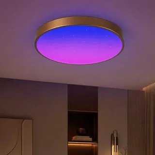 Horevo 30CM Bluetooth-Deckenleuchte mit Fernbedienung, 24W Champagnergoldene Deckenleuchte, Dimmbares und Farbwechselndes Licht mit Lautsprecherlicht Geeignet für Kinderzimmer Schlafgemach