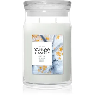 Yankee Candle Silver Birch Duftkerze 567 g