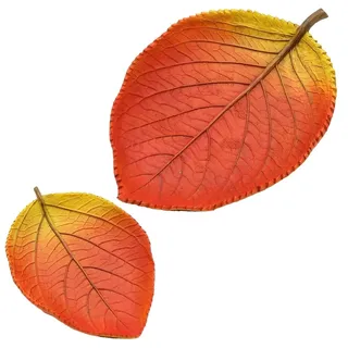 Dekohelden24 Herbstblatt - Herbstschale - Dekoschale in Blattform als 2er Set, Maße L/B/H 25 x 13 x 7 und 16,5 x 12 x 2,5 cm