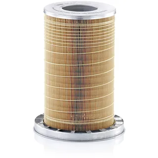 Mann-Filter C 19 384/1