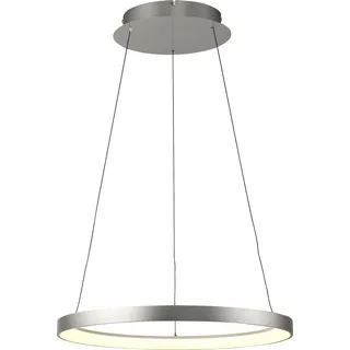 Paul Neuhaus Led Hängelampe Pendelleuchte Hoop Aluminium Dimmbar Höhenverstellba - Grau