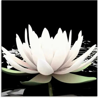 Artland Glasbild »Zwei Lotusblumen auf dem Wasser« Blumen 1 Stk. tlg. in verschiedenen Größen, schwarz