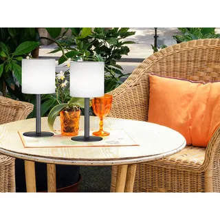 2er SET Outdoor Solar Tischlampen 30cm ohne Kabel mit Fernbedienung dimmbar RGB
