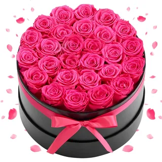 VEVOR 27 Stk. Ewige Rosen in runder Box, konservierter Blumenstrauß, Blumen Geschenkbox für ihre Frau, Mütter, Liebespartner, zur Hochzeit, zum Muttertag, Valentinstag, Weihnachten, Rosenrot