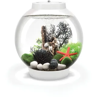 biOrb Classic 15 MCR weiß - Tabletop Aquarium für Elegante Designvarianten, mit patentiertem Filtersystem