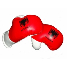 Sportfanshop24 Mini Boxhandschuhe ALBANIEN, 1 Paar (2 Stück) Miniboxhandschuhe z. B. für Auto-Innenspiegel