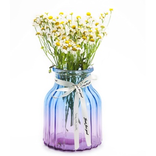 OFFIDIX Glasvase Gradient Multicolor Vase, Zuhause, Büro, Wohnzimmerdekoration Glasblumenvase (Blau Lila)