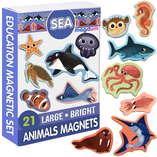 Magdum 21 Meerestiere Magnete Kinder für magnettafel - Magnet spielzeug kinder - Kinder Magnete -Kühlschrankmagnete Kinder - Kühlschrank Magnete set Kinder -Spielzeug ab 3 jahre -Lernspiele ab 3 jahre