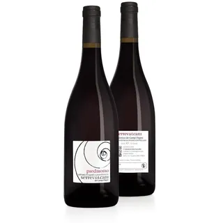 Wein Settevulcani Piedirosso Der Felder Flegrei Doc