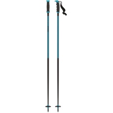 ATOMIC REDSTER X Skistöcke - Länge 120 cm - Zuverlässiger 4* Aluminium Skistock - Ergonomischem Griff am Stock - Stöcke mit 60mm-Pistenteller - Hochwertige Skistecken in Teal Blue