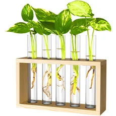 Ivolador Pflanzgefäß zum Aufhängen, Reagenzglas, Blumenvase, Glas-Terrariumin, Holzständer, perfekt für die Anzucht von Hydrokultur-Pflanzen, Glas, farblos, 3 Test Tube