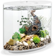 biOrb LOOP 30 LED Aquarium, 30 Liter - Aquarien Komplett-Set mit patentiertem Filter-System, Acryl-Becken