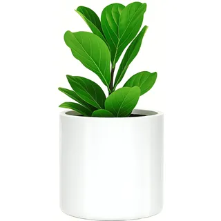 Fox&Fern Übertopf M - Blumentopf Gross inkl. Wasserabfluss - Blumentopf hoch 24cm - Übertöpfe für Zimmerpflanzen - 25cm Durchmesser - Pflanzentöpfe groß - Plant Pot - weiß