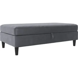 dorel home Stauraumhocker Hartford Samt 130 x 43 x 69 cm Grau
