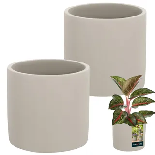 KOTARBAU® Blumentopf Keramik groß Zylinder Ethno ⌀ 16 cm Höhe 15 cm 2 St. Blumenübertopf Keramik Blumentopf Betonoptik kleine Übertöpfe Keramiktopf Pflanzen
