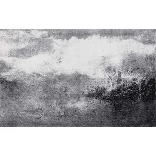 Wash+Dry Aura 110 x 175 cm Grau