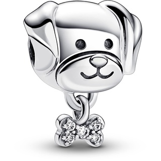 Pandora Charm 792254C01 Silber