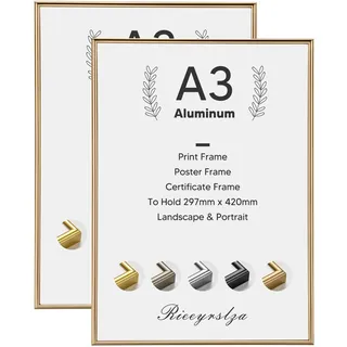 Rieeyrslza Aluminium Fotorahmen 29,7x42cm Dokumentrahmen 2 STK A3 Bilderrahmen Certiciate Posterrahmen Wand Bilderrahmen Fotorahmen Geeignet für Zuhause Schule Galerie(Champagner)