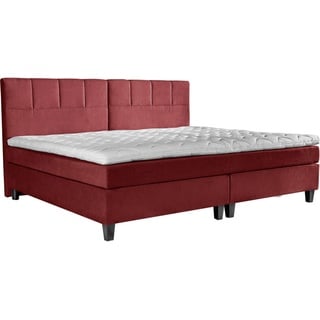 Esposa BOXSPRINGBETT Rot - 160x200 cm