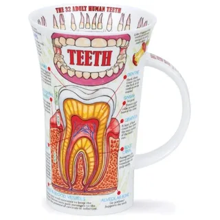 DUNOON Zähne Zahnmedizin Fine Bone China Zahnarzt Tasse, Sekundarstufe I, eine Ebene, Lehrer, Graduate, zahnhygienikern gegen, Dental – Made in England