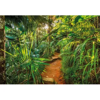 KOMAR Fototapete Jungle Trail 368 x 254 cm