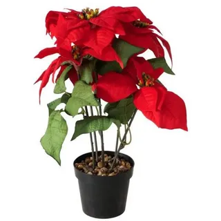 Boltze Weihnachtsstern Topfpflanze Plastik 40cm