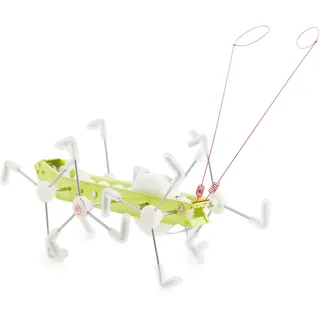 Kikkerland Mxykikker Wind Up (1504)