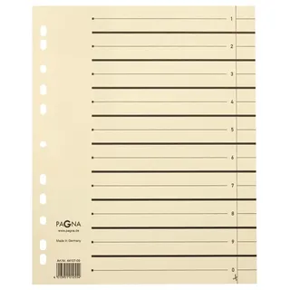 Pagna 44108-09 PAGNA Trennblätter 300x245x27 chamois 230g/qm, Inh.100