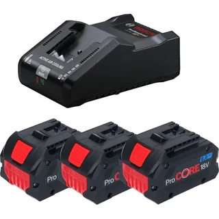 ProCore Akku 18 V Professional 3 x 8,0 Ah Akku + Ladegerät 0615A5004Y