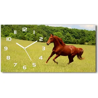 Wanduhr aus Glas – 60x30 cm - Glasbild - Glasuhr - Gehärtetes Glas - weisse-zeiger - Pferd auf der Wiese