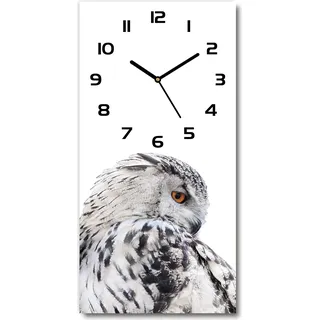 Wanduhr aus Glas – 30x60 cm - Glasbild - Glasuhr - Gehärtetes Glas -Weiße Eule - Weiß