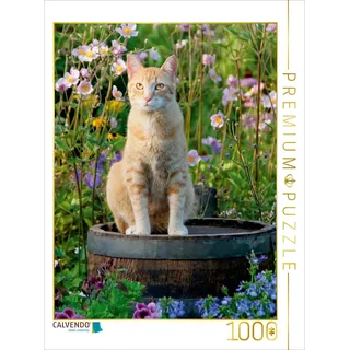 Calvendo Rote Katze auf Holzfass im blühenden Garten 1000 Teile Puzzle hoch | 1000 Teile Lege-Größe 48 x 64 cm Foto-Puzzle für glückliche Stunden