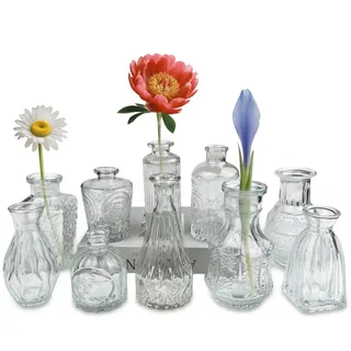 VELLUSTRA Mini Vasen Transparent Set, 10St Kleine Glasvase Deko, Vasen Set Verschiedene Modelle Groessen Blumenvase, für Party, Geburtstag, Home Wohnzimmer, Tisch Deko, Festtagsgeschenk