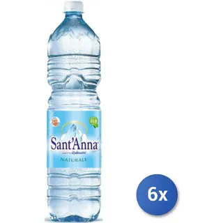 6x Multipack Wasser Sant'Anna Natur Lt 1.5
